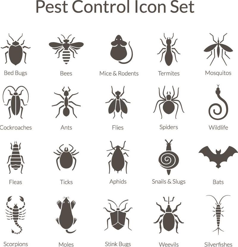 Icons of various household pests