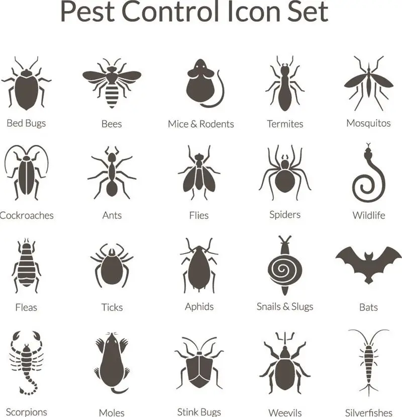 Icons of various household pests