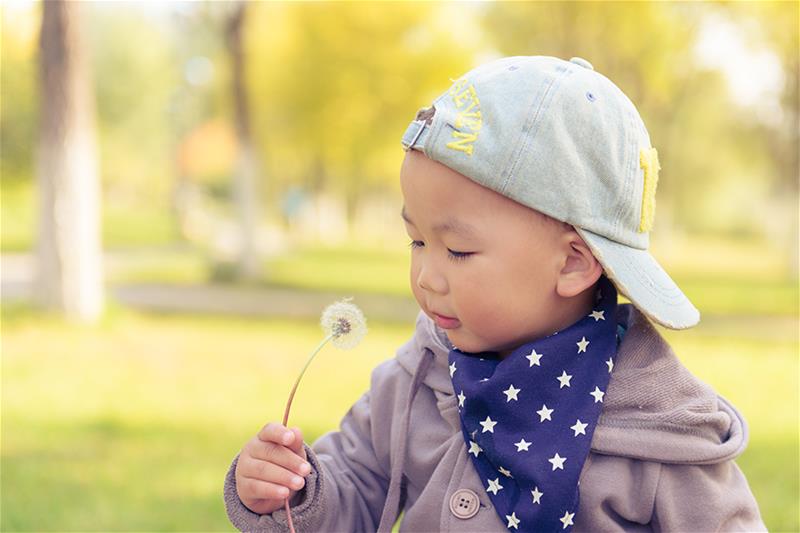 young boy holding a dandelion