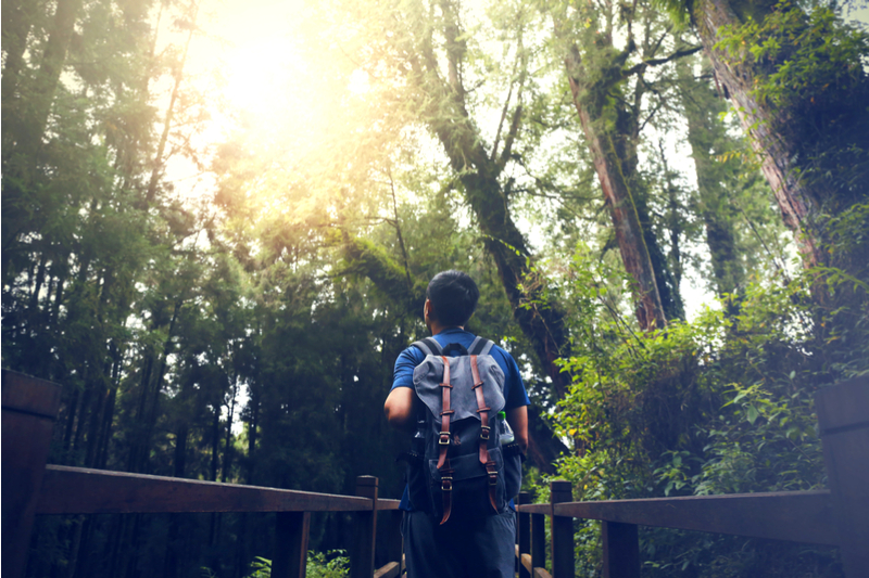 Boy with backpack hiking in woods with bright sun shining