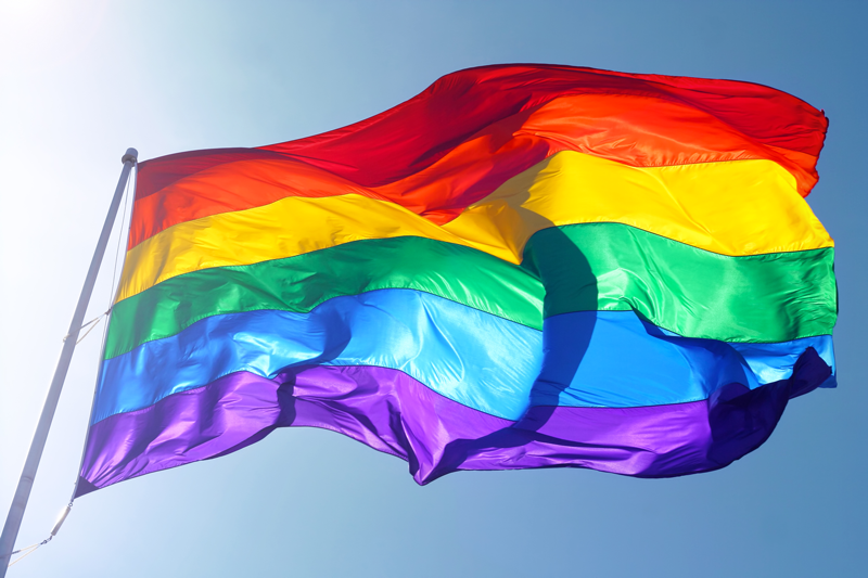 The rainbow flag (LGBT)