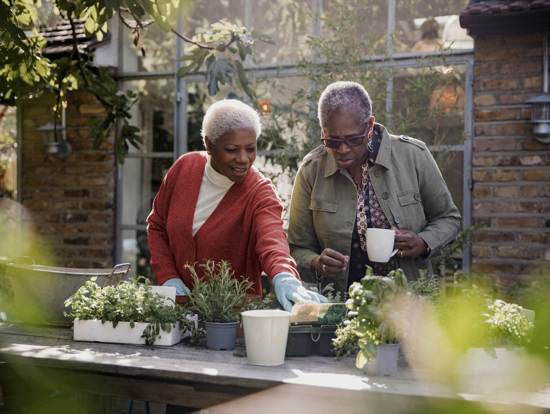 Senior Female Friends Gardening Senior female friends gardening