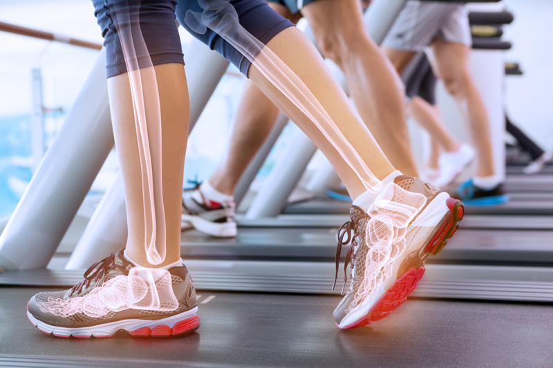 Vista en 3D de los huesos del interior de las piernas humanas en la cinta de correr